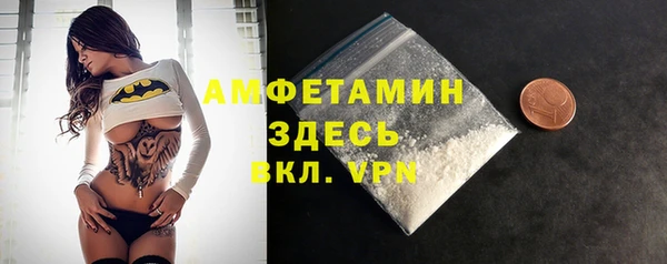 прущие грибы Балабаново