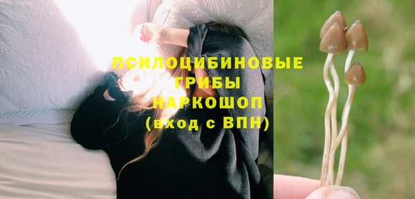 винт Балахна