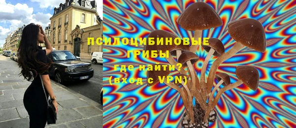 винт Балахна