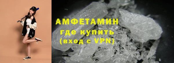 прущие грибы Балабаново