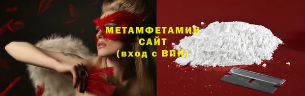 прущие грибы Балабаново