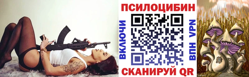 kraken ссылки Уяр Псилоцибиновые грибы Psilocybine cubensis купить